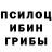 Псилоцибиновые грибы Cubensis Rano Tadjibayeva