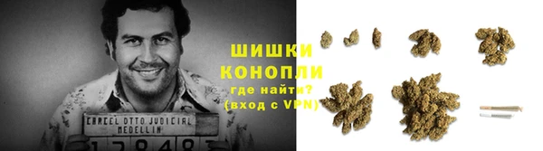 дживик Няндома